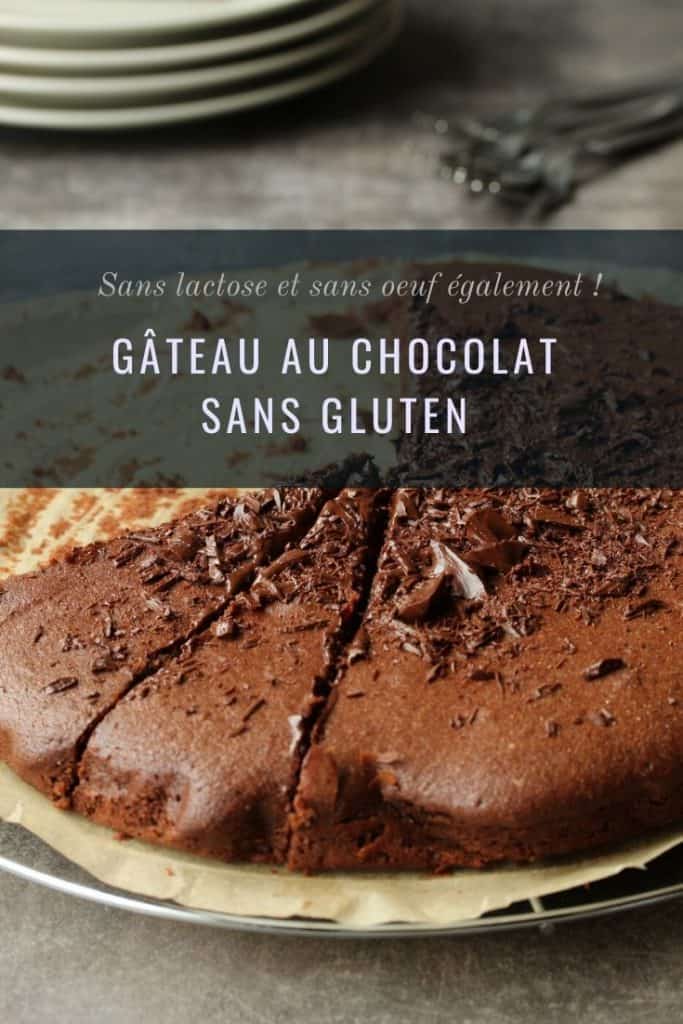Gateau Au Chocolat Sans Gluten Sans Lactose Sans Oeuf Et Toujours Aussi Bon Academie Du Sans Gluten